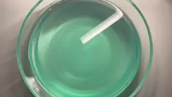 나는 1학년 입학생ㅇ!