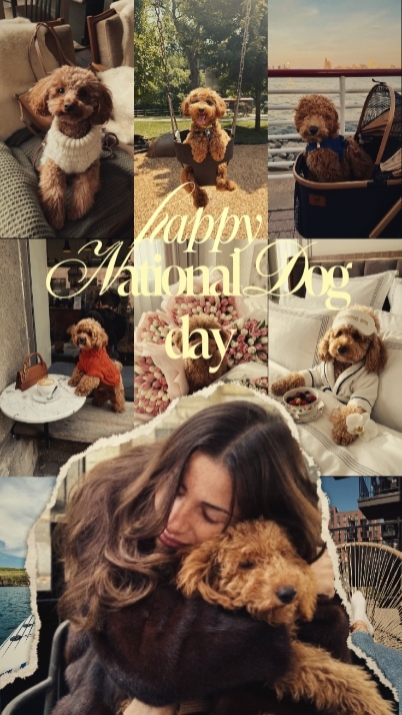 Día Nacional del Perro