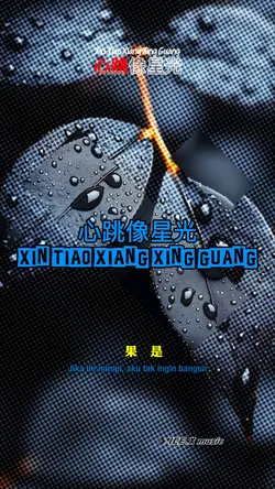 心跳像星光