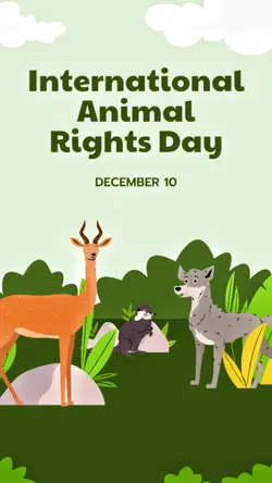 International Animal