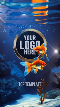 Fish Intro Top