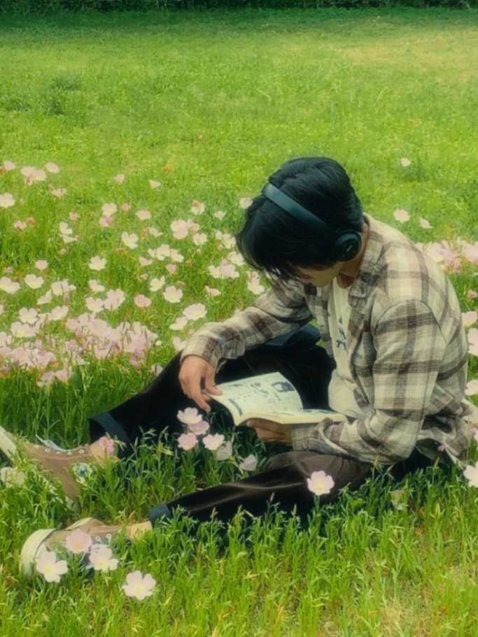Cover Picture