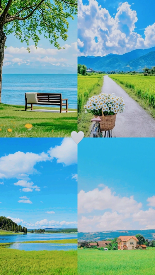 4 pics