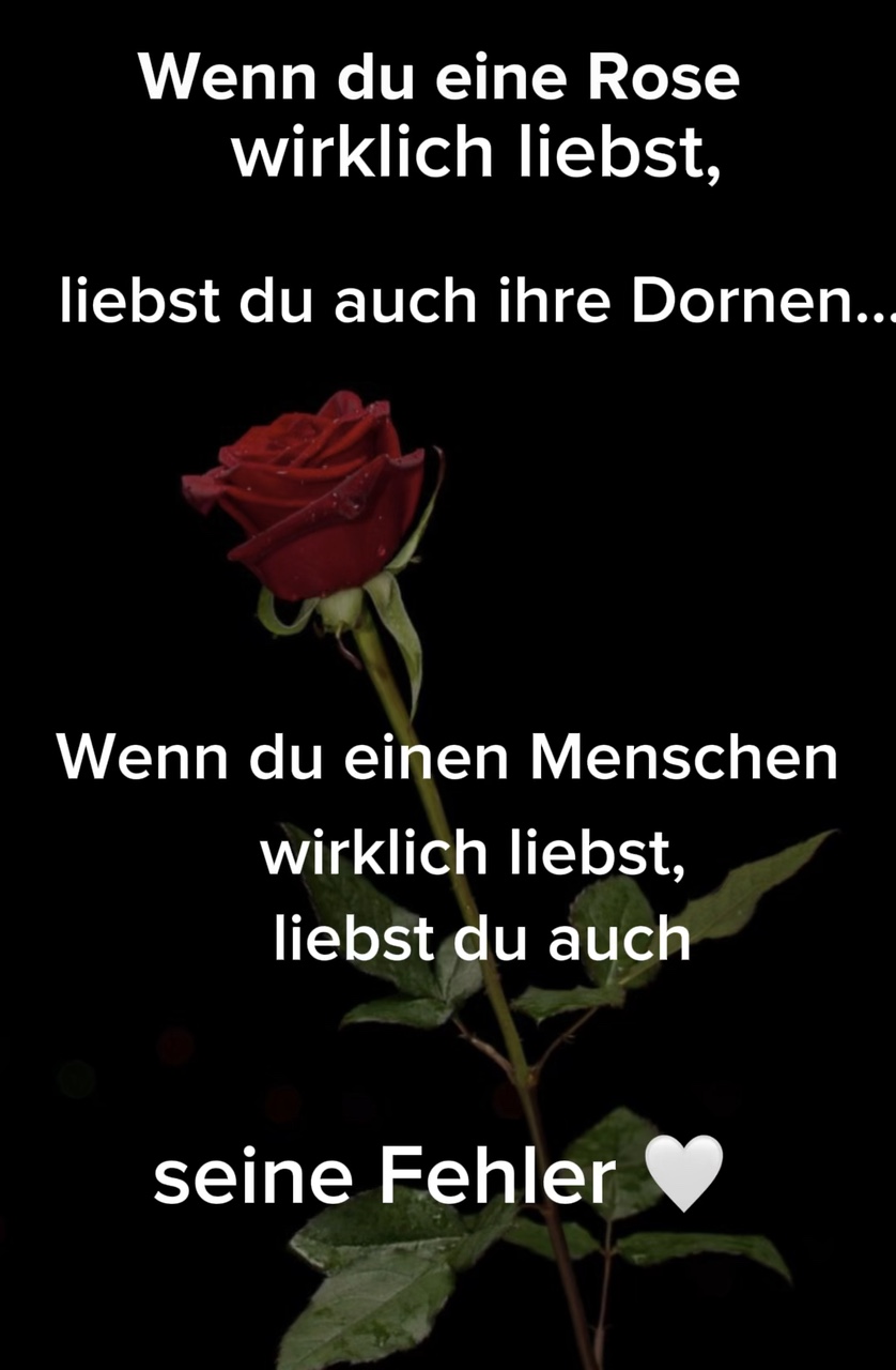 Die Rose der Liebe 🫶