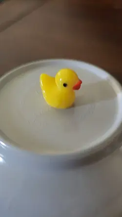 duck trend