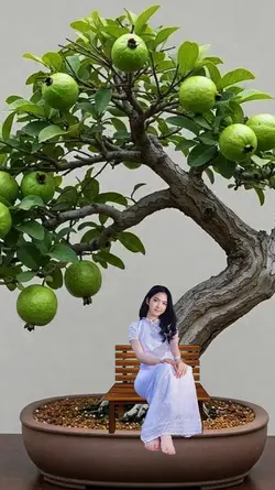 TREND miniatur pohon