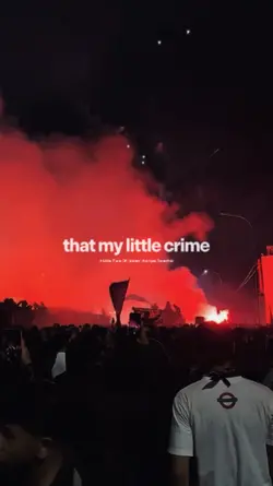 my little crime