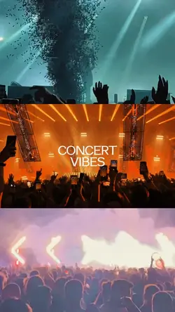 Concert vibes