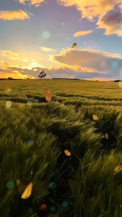 KabhiAlvidaNaaKehna