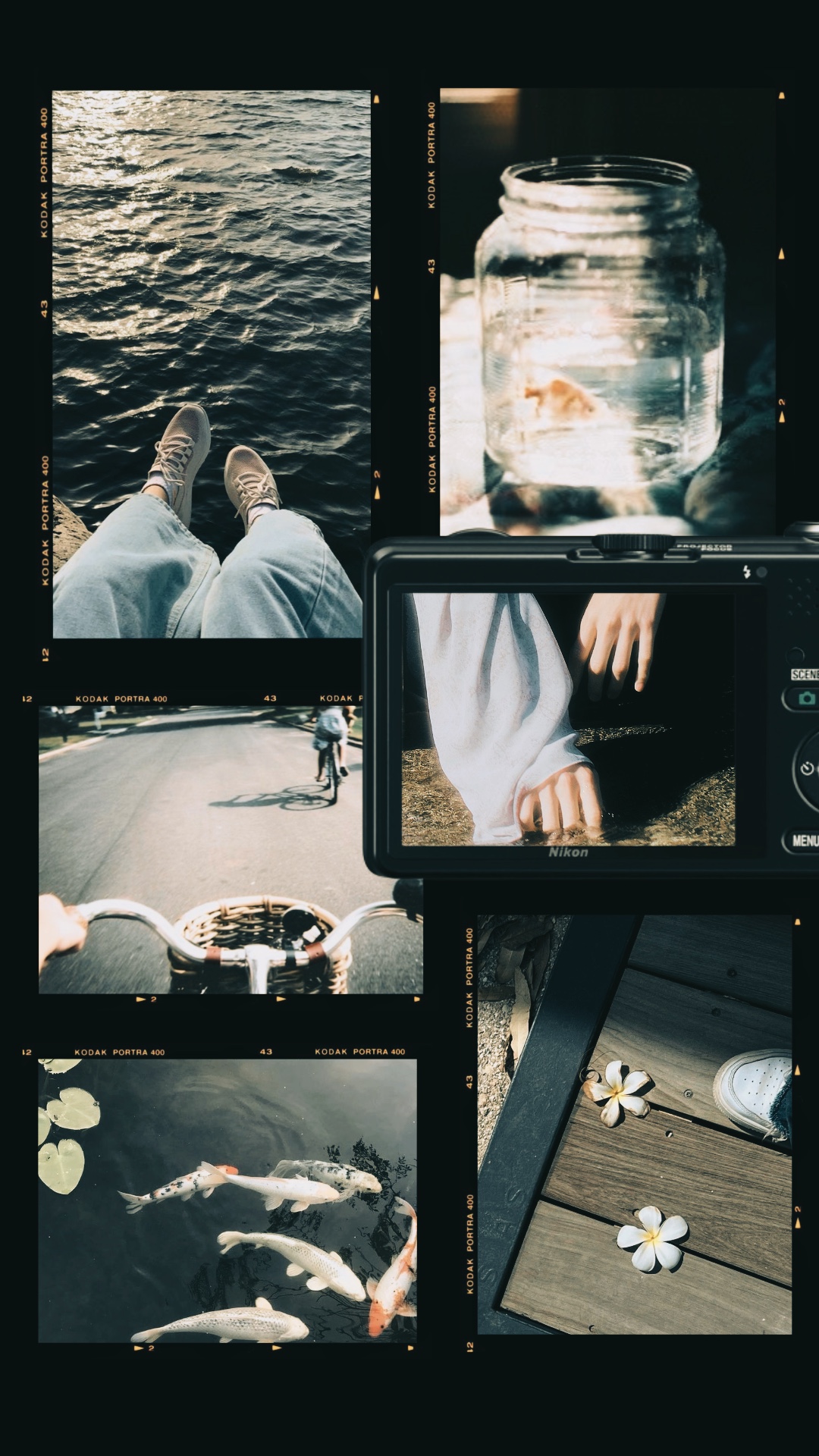 6 frame aesthetic 