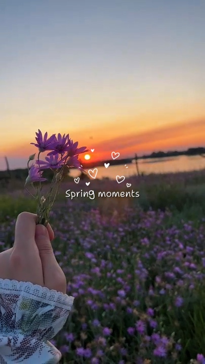 SPRING 4 Klip