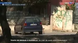 Prank faux articles
