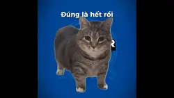 Kết thuyết trình