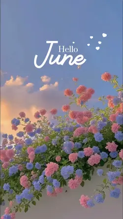 Hello June