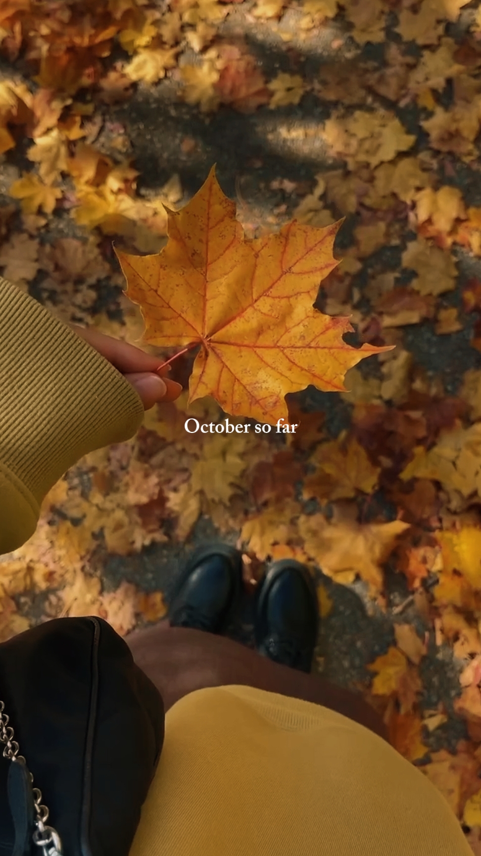 Octubre Hasta ahora