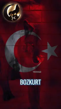BOZKURT ŞABLON