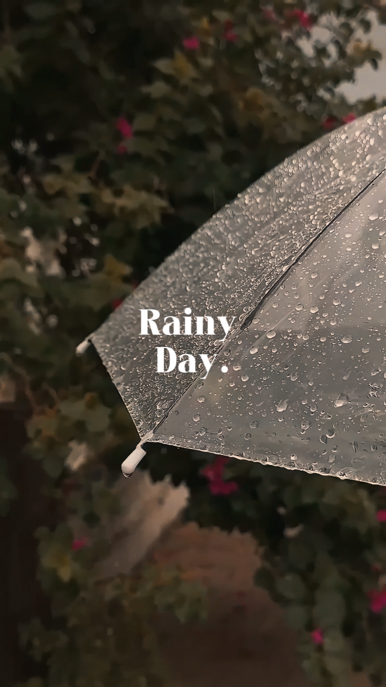Vlog|雨天