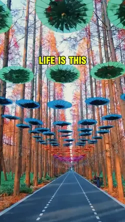 life is this