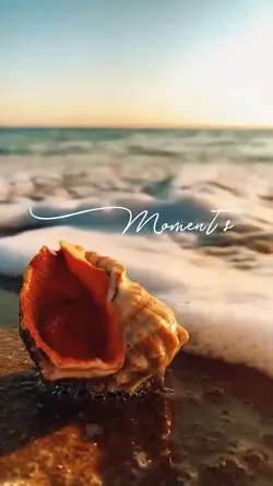 Beautiful Moments 