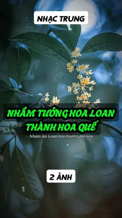 Nhạc trung