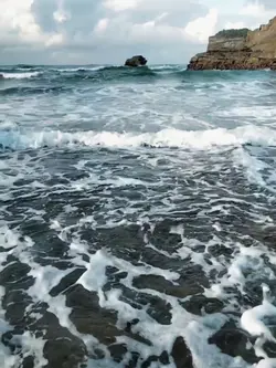 Slowmo trend