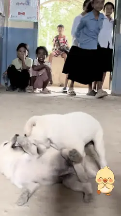 Cute Kiki 🌸😍
