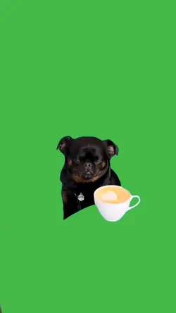 Sad dog thinking