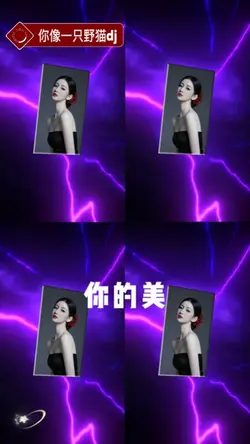 你像一只野猫