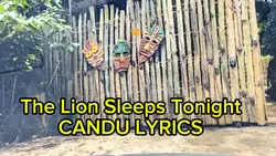 The Lion Sleeps SONG