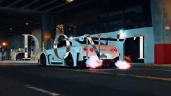 DARK HORSE | CINEMA