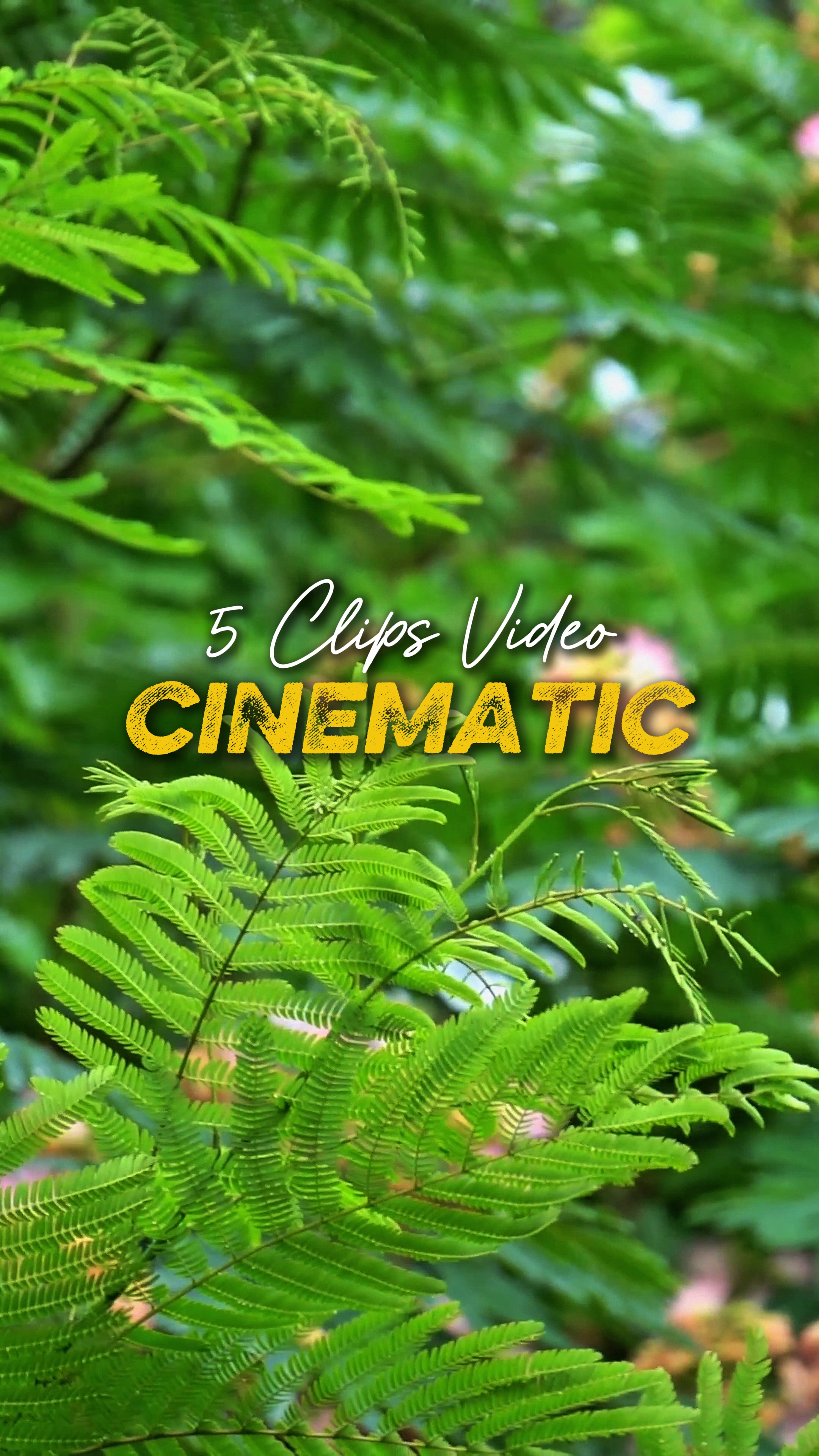 Cinematic 5 Video