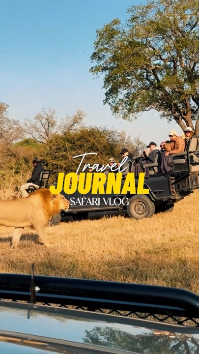 Vlog Safari