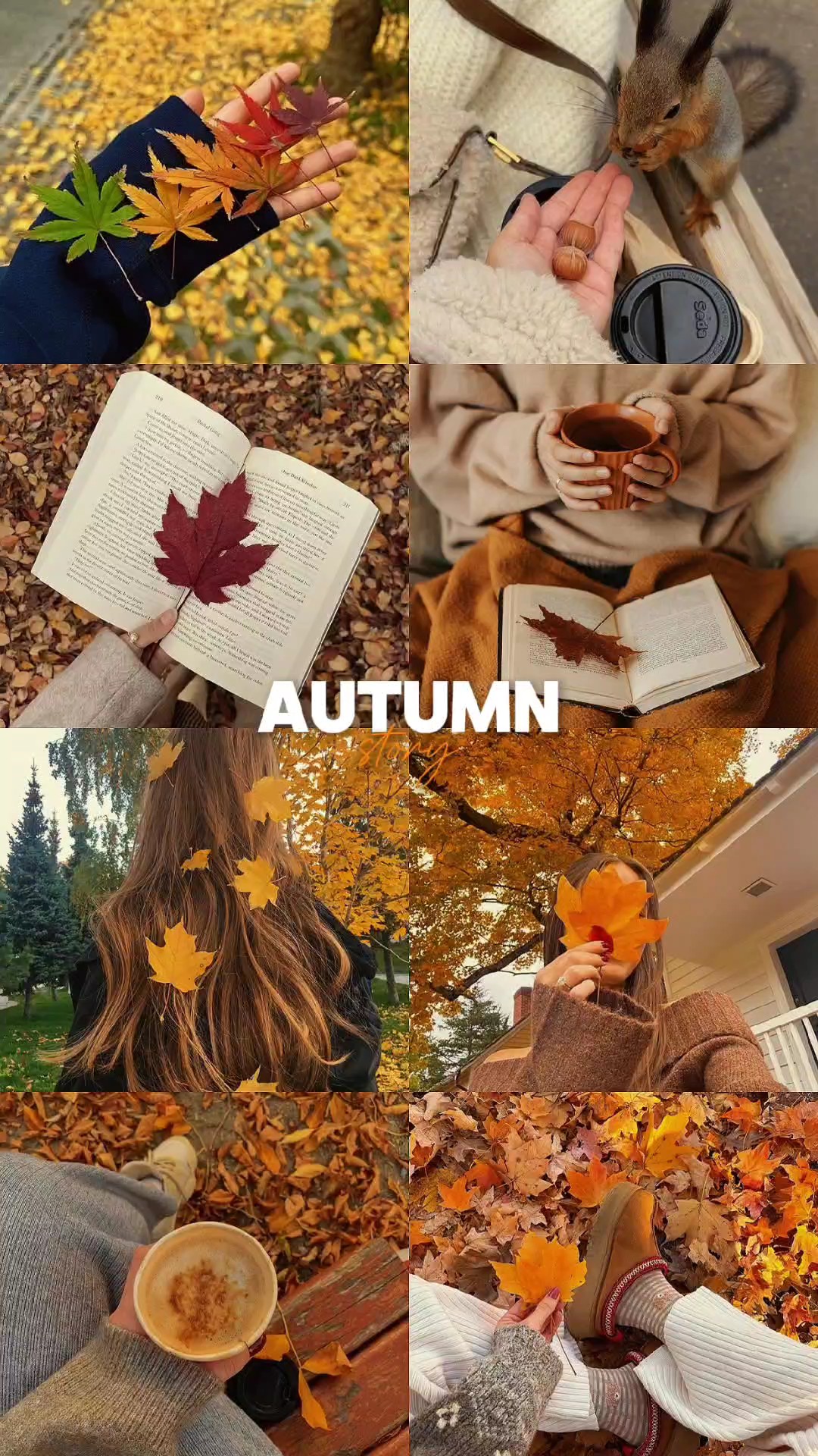 histoire d'automne 