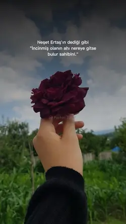 Güzel şablon