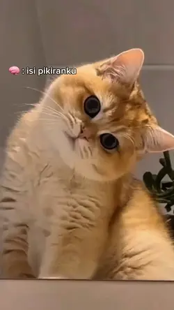 isi pikiranku