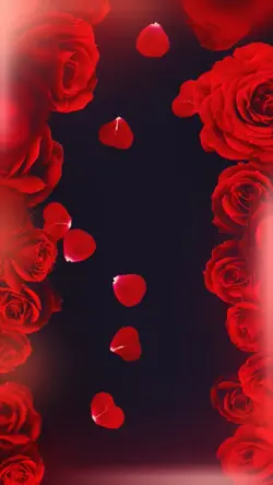 Hearts & Roses 