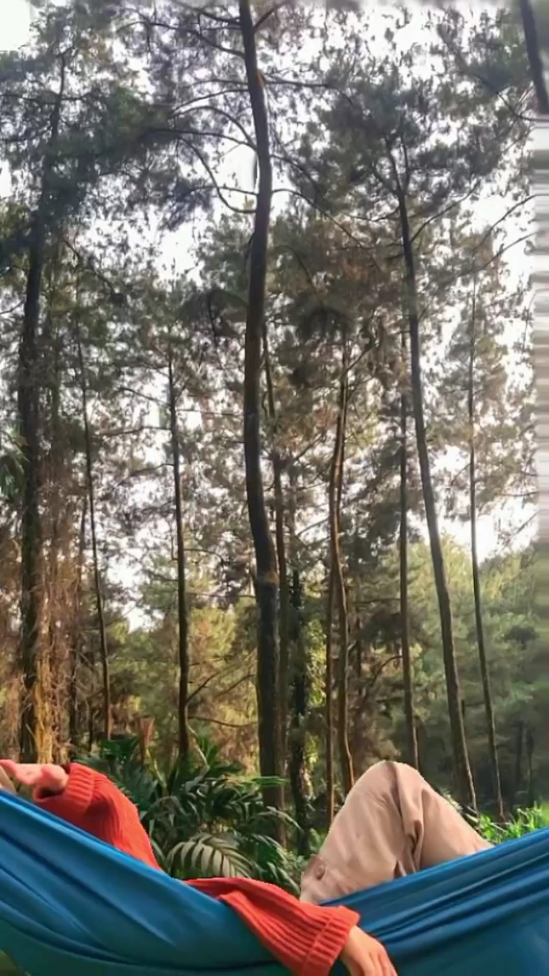 2 Foto 1 Video 