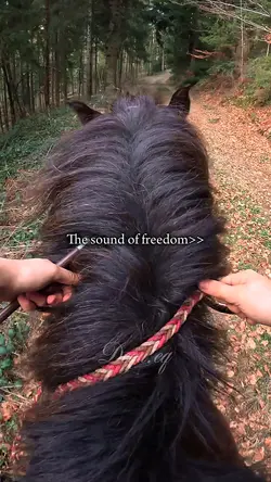 Sound of Freedom 💗