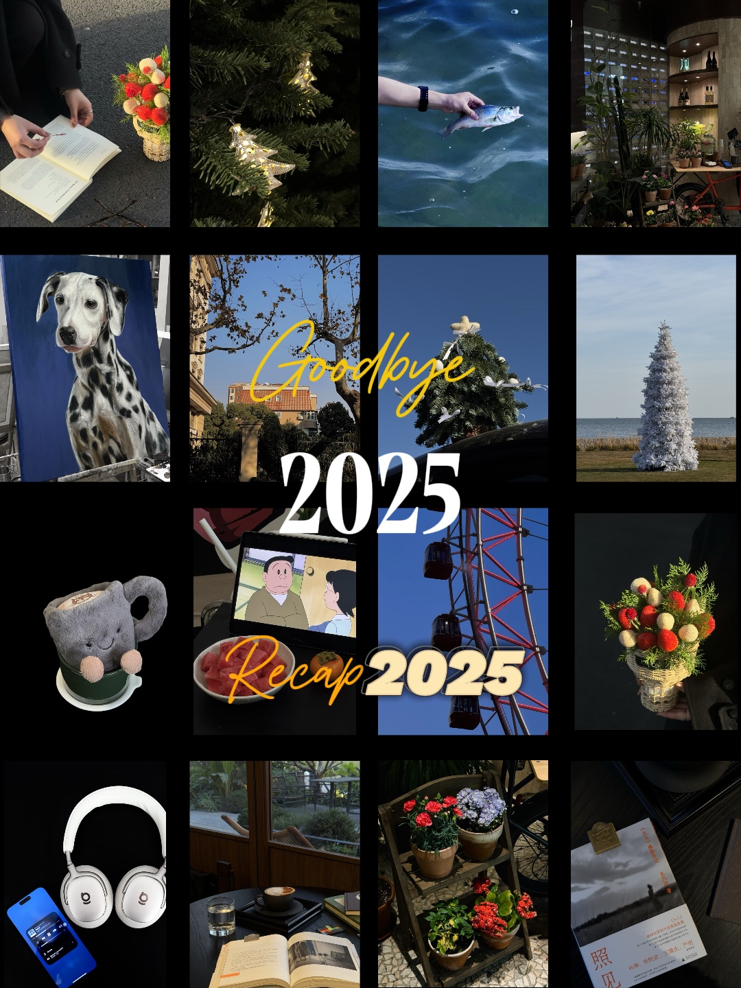 Récapitulatif 2025