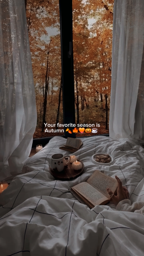 LA TEMPORADA FAVORITA ES OTOÑO