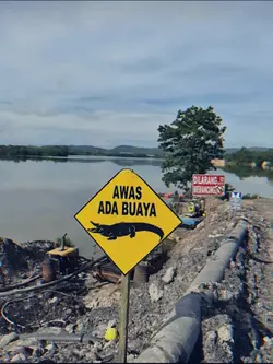 awas ada buaya 