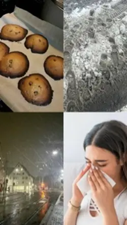 winter ❄️☃️🎄