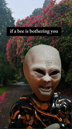 bee bothering