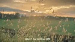 Chemical light