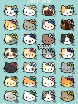 kitty gat trende