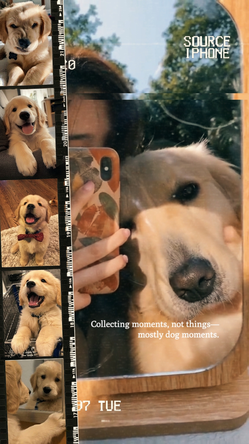 Moments avec un chien