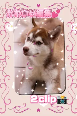 かわいい編集/２clip