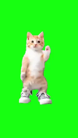 meme screen