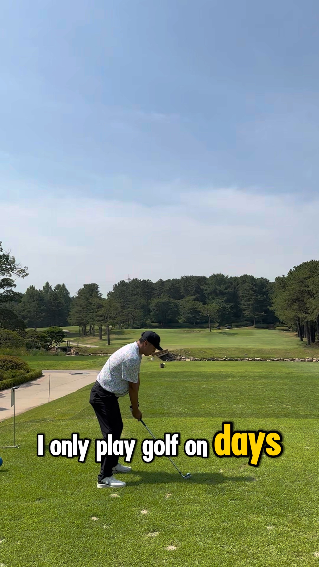 골프