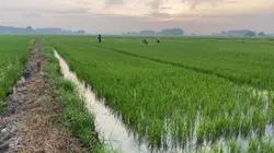 Sound Nhạc Thư Giãn